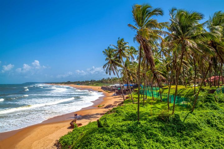 North Goa Packages